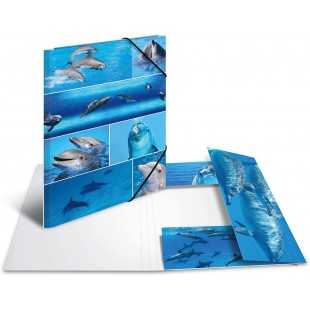 HERMA Chemises a  elastique Animaux avec motif Dauphins, A3, carton robuste, avec impression interieure, 1 portee de chemise