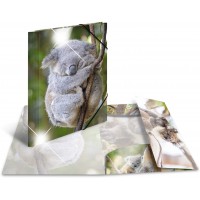 HERMA 19323 Classeur A4 en plastique solide avec effet brillant et rabats interieurs imprimes Motif koala