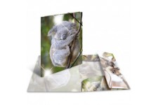 HERMA 19323 Classeur A4 en plastique solide avec effet brillant et rabats interieurs imprimes Motif koala