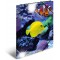 HERMA 19324 Classeur A4 en plastique solide avec effet brillant et rabats interieurs imprimes Motif animaux et poisso