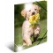 HERMA 19327 Classeur DIN A4 en plastique solide avec effet brillant et rabats interieurs imprimes Motif animaux