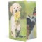 HERMA 19327 Classeur DIN A4 en plastique solide avec effet brillant et rabats interieurs imprimes Motif animaux