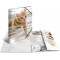 HERMA 19328 Chemise format A4 en plastique solide avec effet brillant et rabats interieurs imprimes