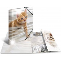 HERMA 19328 Chemise format A4 en plastique solide avec effet brillant et rabats interieurs imprimes