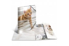 HERMA 19328 Chemise format A4 en plastique solide avec effet brillant et rabats interieurs imprimes
