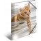 HERMA 19328 Chemise format A4 en plastique solide avec effet brillant et rabats interieurs imprimes
