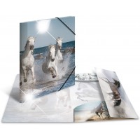 HERMA 19329 Classeur DIN A4 en plastique solide avec effet brillant et rabats interieurs imprimes, reliure elastique 