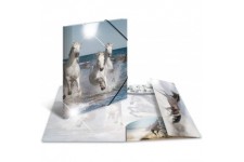 HERMA 19329 Classeur DIN A4 en plastique solide avec effet brillant et rabats interieurs imprimes, reliure elastique 