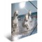 HERMA 19329 Classeur DIN A4 en plastique solide avec effet brillant et rabats interieurs imprimes, reliure elastique 