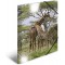 Herma 19332 brillant Chemise DIN A3 plastique, serie animaux motif girafe, Impression a dessin avec chemise en caout