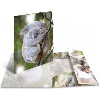 Herma 19333 brillant Chemise DIN A3 plastique, serie animaux motif koala, Impression a  dessin avec chemise en caoutchouc, avec 