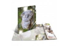 Herma 19333 brillant Chemise DIN A3 plastique, serie animaux motif koala, Impression a  dessin avec chemise en caoutchouc, avec 