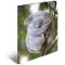 Herma 19333 brillant Chemise DIN A3 plastique, serie animaux motif koala, Impression a  dessin avec chemise en caoutchouc, avec 