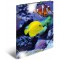 Herma 19334 brillant Chemise DIN A3 plastique, serie animaux motif poissons, Impression a  dessin avec chemise en caoutchouc, av