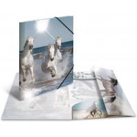 HERMA 19338 Classeur DIN A3 en plastique solide avec effet brillant et rabats interieurs imprimes, reliure elastique 