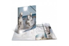HERMA 19338 Classeur DIN A3 en plastique solide avec effet brillant et rabats interieurs imprimes, reliure elastique 