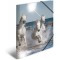 HERMA 19338 Classeur DIN A3 en plastique solide avec effet brillant et rabats interieurs imprimes, reliure elastique 