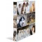 HERMA Classeurs a¡ 4 anneaux A4 Animaux motif chiens, dos de 35 mm, Classeur en carton rigide, Avec compresseur