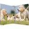 HERMA Classeurs a¡ 4 anneaux A4 Animaux motif chiens, dos de 35 mm, Classeur en carton rigide, Avec compresseur