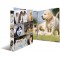 HERMA Classeurs a¡ 4 anneaux A4 Animaux motif chiens, dos de 35 mm, Classeur en carton rigide, Avec compresseur