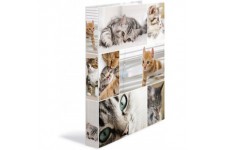 HERMA Classeurs a¡ 4 anneaux A4 Animaux motif chats, dos de 35 mm, Classeur en carton rigide, Avec compresseur