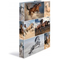 HERMA Classeurs a¡ 4 anneaux A4 Animaux motif chevaux, dos de 35 mm, Classeur en carton rigide, Avec compresseur