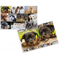 Herma 19378 Sous-main reversible antiderapant pour enfants Format 55 x 35 cm Motif de chiens sur les deux cotes (1 pi