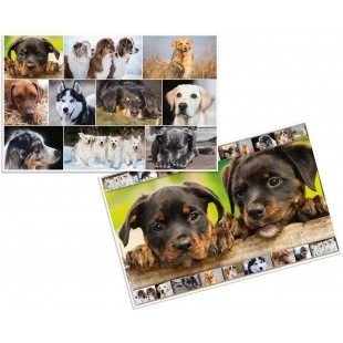 Herma 19378 Sous-main reversible antiderapant pour enfants Format 55 x 35 cm Motif de chiens sur les deux cotes (1 pi
