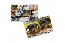 Herma 19378 Sous-main reversible antiderapant pour enfants Format 55 x 35 cm Motif de chiens sur les deux cotes (1 pi