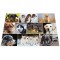 Herma 19378 Sous-main reversible antiderapant pour enfants Format 55 x 35 cm Motif de chiens sur les deux cotes (1 pi