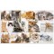 Herma 19378 Sous-main reversible antiderapant pour enfants Format 55 x 35 cm Motif de chiens sur les deux cotes (1 pi