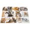 Herma 19378 Sous-main reversible antiderapant pour enfants Format 55 x 35 cm Motif de chiens sur les deux cotes (1 pi
