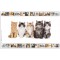 Herma 19378 Sous-main reversible antiderapant pour enfants Format 55 x 35 cm Motif de chiens sur les deux cotes (1 pi