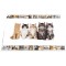Herma 19378 Sous-main reversible antiderapant pour enfants Format 55 x 35 cm Motif de chiens sur les deux cotes (1 pi