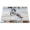 Herma 19378 Sous-main reversible antiderapant pour enfants Format 55 x 35 cm Motif de chiens sur les deux cotes (1 piece) Cheval