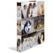 HERMA Classeurs a¡ 2 anneaux A4 Animaux motif chiens, dos de 35 mm, Classeur en carton rigide, Avec compresseur