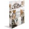 HERMA Classeurs a¡ 2 anneaux A4 Animaux motif chats, dos de 35 mm, Classeur en carton rigide, Avec compresseur