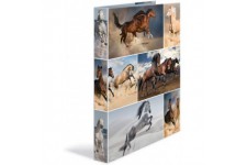 HERMA Classeurs a¡ 2 anneaux A4 Animaux motif chevaux, dos de 35 mm, Classeur en carton rigide, Avec compresseur