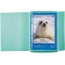 HERMA Chemises a elastique Translucide en Turquoise, A3, plastique robuste, avec 3 rabats interieurs, 1 portee de ch