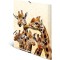 HERMA Chemises a  elastique Animaux exotiques avec motif Amis de girafes, A3, plastique robuste, avec impression interieure, 1 p