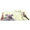 Herma 19958 Porte-documents format A4 animaux exotiques en plastique solide avec rabats interieurs imprimes, reliure elastique, 