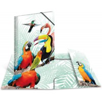 Herma 19959 Porte-documents DIN A4 animaux exotiques clique tropicaux en plastique solide avec rabats interieurs imprimes, reliu