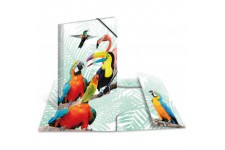 Herma 19959 Porte-documents DIN A4 animaux exotiques clique tropicaux en plastique solide avec rabats interieurs imprimes, reliu