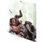 Herma 19960 Classeur DIN A4 animaux exotiques bande de singes en plastique solide avec rabats interieurs imprimes, reliure elast