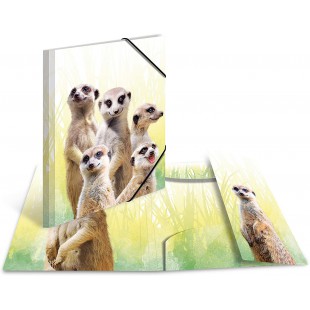 Herma 19961 Porte-documents DIN A4 Animaux exotiques en plastique solide avec rabats interieurs imprimes, reliure elastique, cla