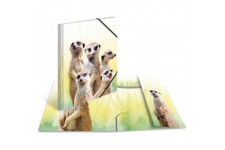 Herma 19961 Porte-documents DIN A4 Animaux exotiques en plastique solide avec rabats interieurs imprimes, reliure elastique, cla