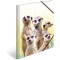 Herma 19961 Porte-documents DIN A4 Animaux exotiques en plastique solide avec rabats interieurs imprimes, reliure elastique, cla