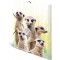 Herma 19961 Porte-documents DIN A4 Animaux exotiques en plastique solide avec rabats interieurs imprimes, reliure elastique, cla