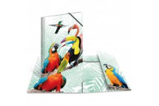 Herma 19968 Porte-documents DIN A3 animaux exotiques clique en plastique solide avec rabats interieurs imprimes, elastique a  se