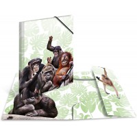 Herma 19969 Classeur DIN A3 animaux exotiques bande de singes en plastique solide avec rabats interieurs imprimes, reliure elast